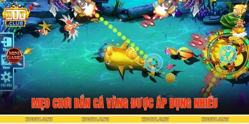 Các mẹo chơi bắn cá vàng phổ biến và dễ áp dụng