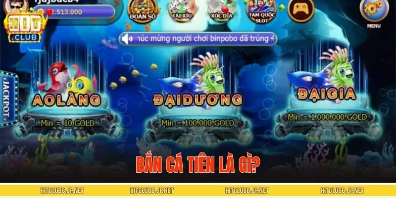 Tổng quan về bắn cá Tiên