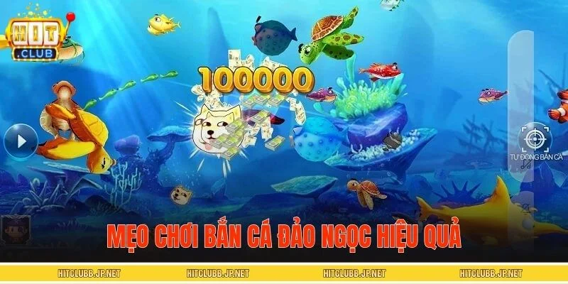 Mẹo chơi bắn cá đảo ngọc rinh thưởng lớn